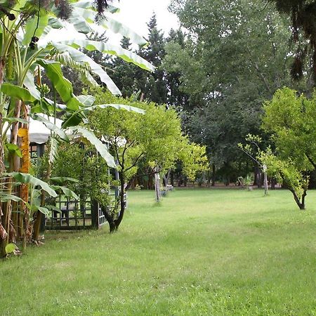 Villette Vacanze Bivona Rum bild