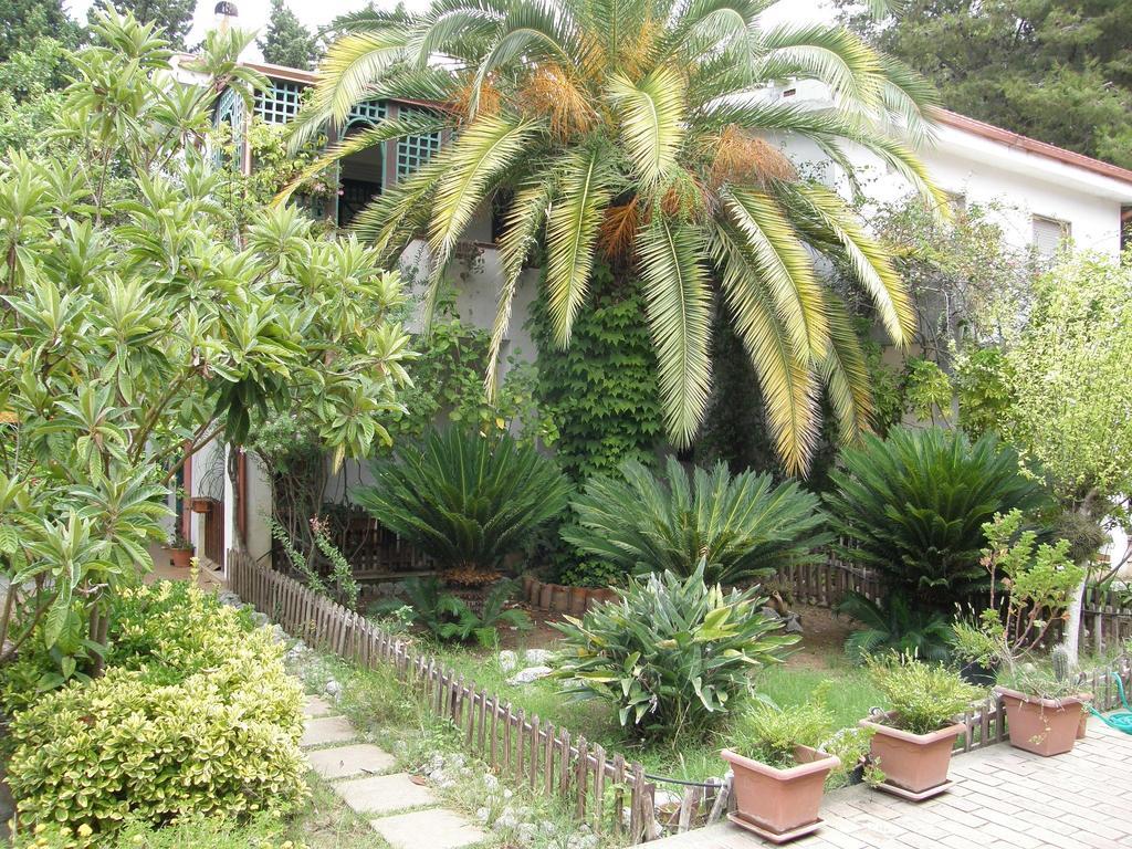 Villette Vacanze Bivona Rum bild