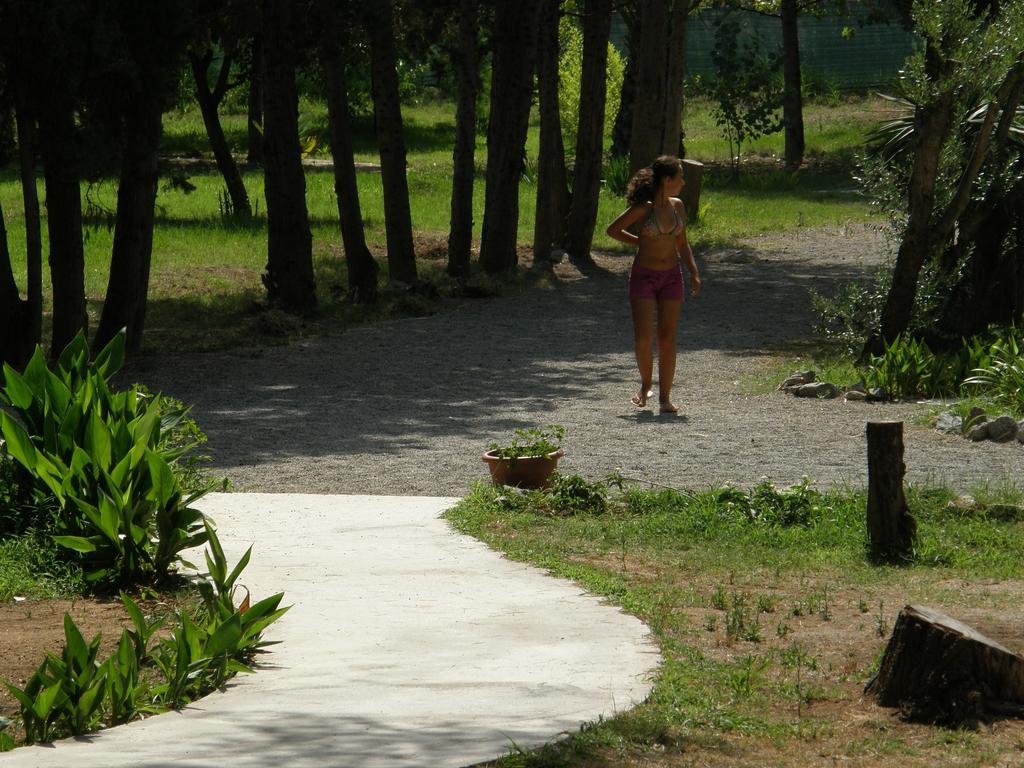 Villette Vacanze Bivona Rum bild